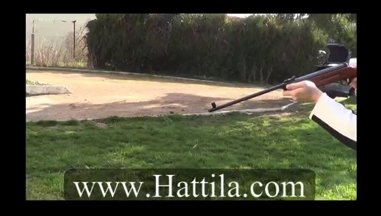 Hattila.com - Carabine à air comprimé B1 (plombs) 5.5mm 400FPS