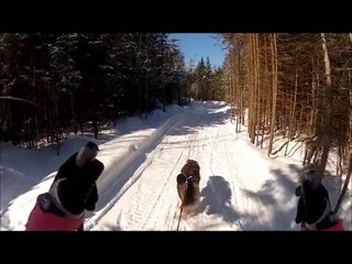 Party Mix: Amateurs de Sports Tractés 🎉