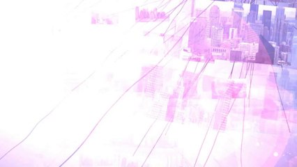 Multi Video Multi Text Logo Webs - After Effects Template