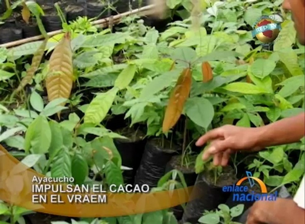EN_150114_AYAC_2