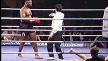 Poor Boxer