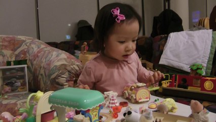 Girl And Sylvanian Families