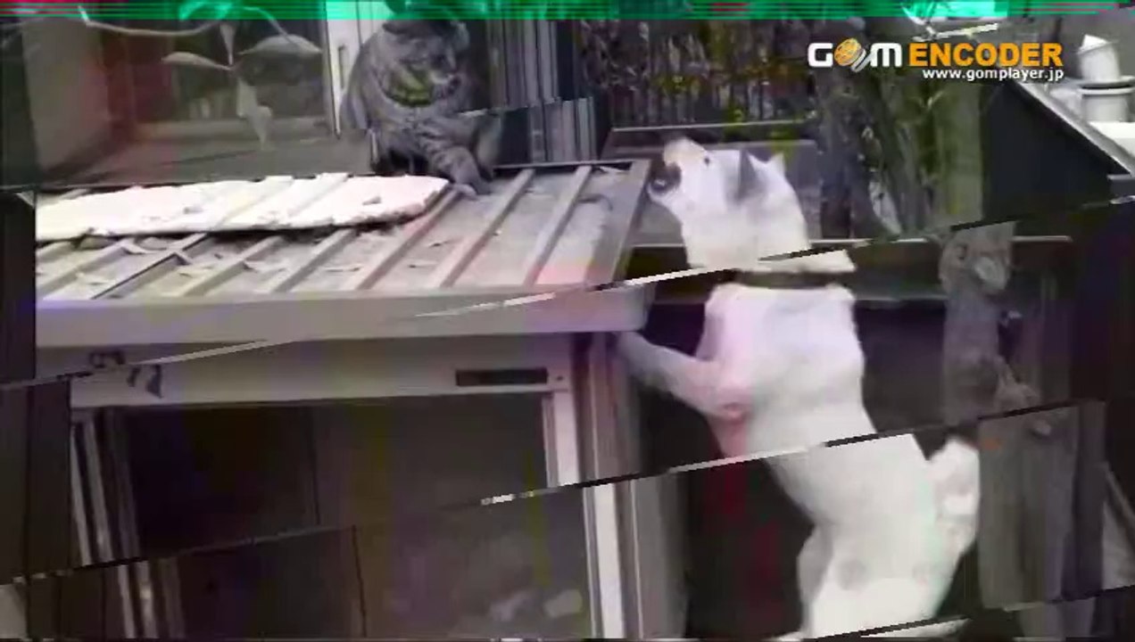 【Sk-Grande】＆【Sk-Master】-美容スキンケア系-＆【フラクタル・アフィリ】　実践 検証 動画 実績 特典 購入 レビュー ブログ 暴露 評価 評判