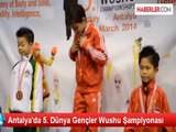 Antalya'da 5. Dünya Gençler Wushu Şampiyonası