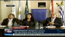 Parlamentarios de Mercosur se reúnen para debatir sobre Venezuela