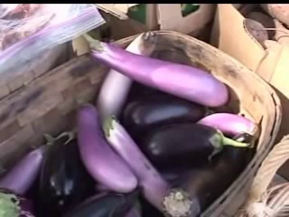 Organic Farming  Can It Feed Us (Part 1)[240P]