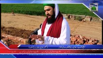 (News 16 Feb) Muballigh e Dawateislami Ke Mukhtalif Madani Kaam, Punjab
