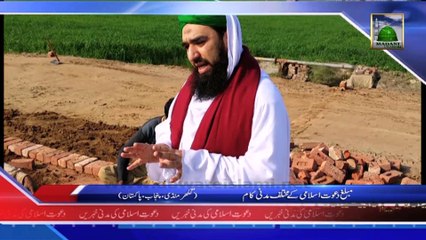 (News 16 Feb) Muballigh e Dawateislami Ke Mukhtalif Madani Kaam, Punjab