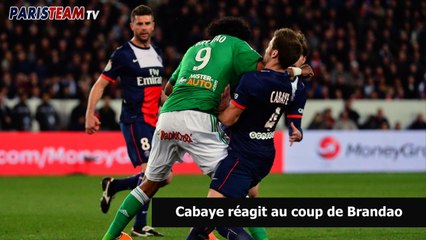 Cabaye réagit au coup de Brandao