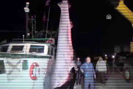 Balıkçılara yarım tonluk köpek balığı sürprizi