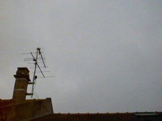 Chant d'oiseau sur Paris