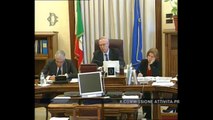 Roma - Audizioni su strategia energetica nazionale (17.03.14)