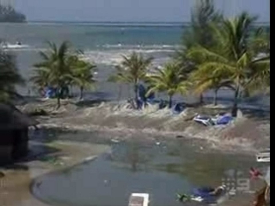 Tsunami