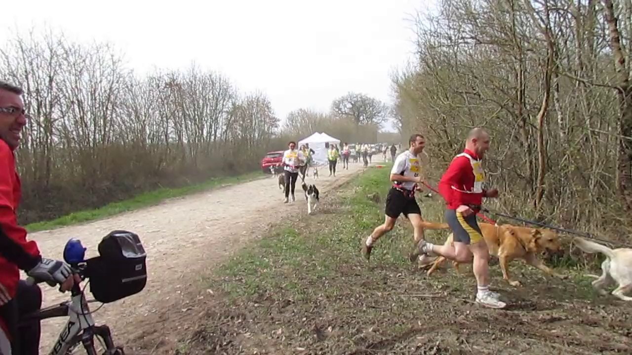 CANICROSS de mauzé le 15 mars 2014
