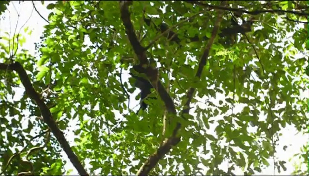 Sri Lanka, l'île précieuse