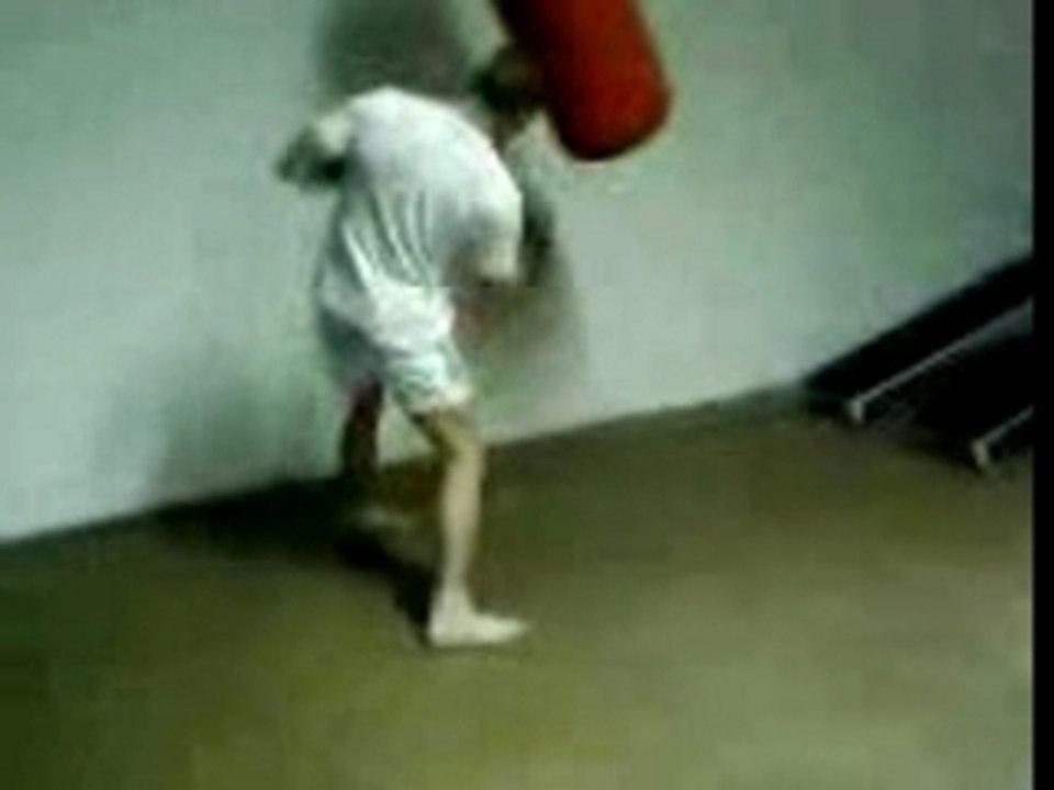 Pro fight