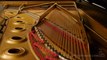 Steinway Concert Grand Piano for Sale