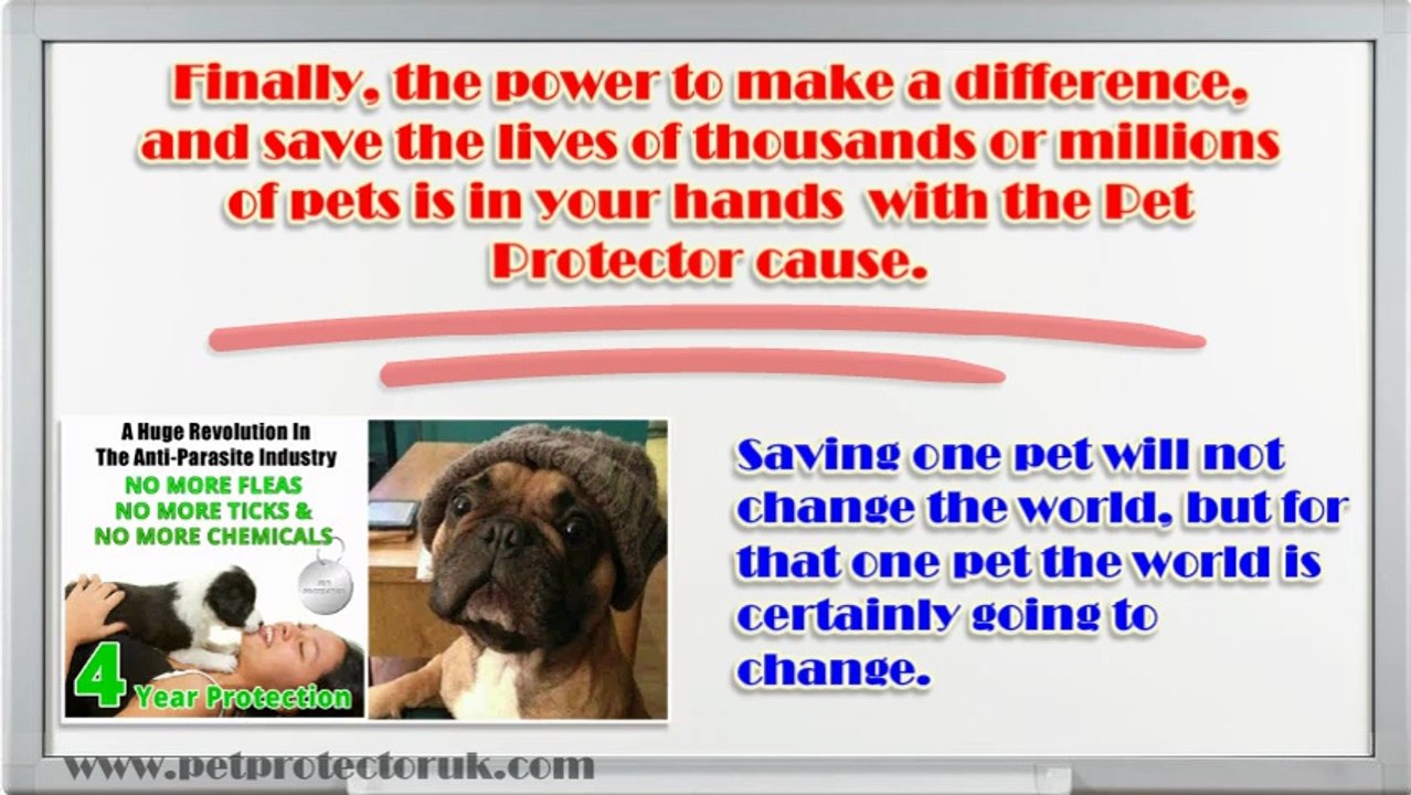 Why You Should Use Pet Protector video