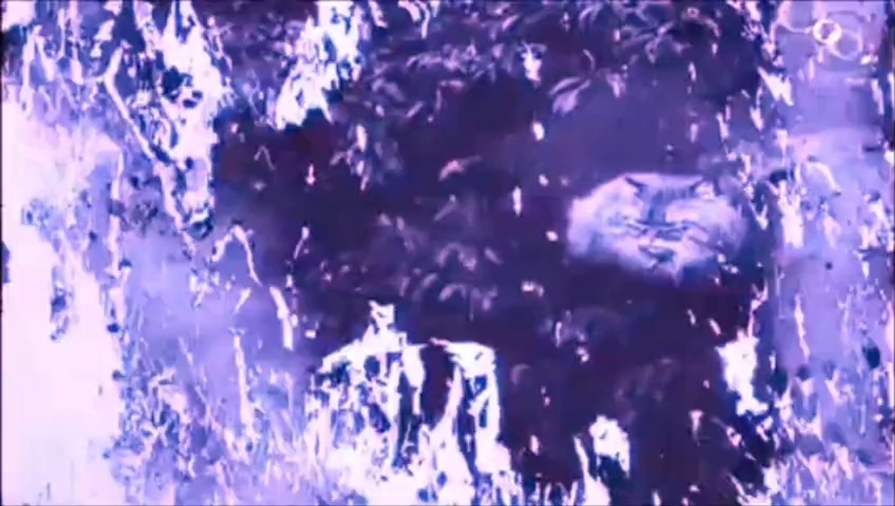 JAGUWAR - Muffhead (Pretty in Noise Premiere)