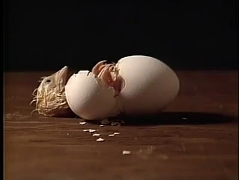 In Absence of Oxygen it still came out Alive