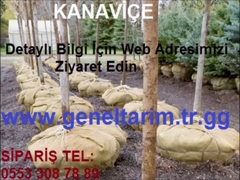 kanaviçe kumaş,rootball kumaş,kanaviçe_kumaş,telis bezi fiyatları