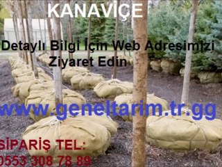 KANAVİÇE TELİS BEZİ,telis bezi jüt,jüt kanaviçe,Telis-bezi