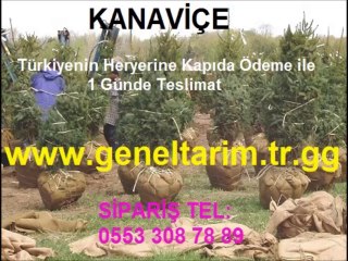 telis bezi satış, kanaviçe telis bezi