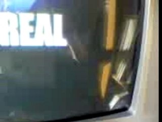 Gamelle ramasseur de balle