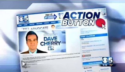 This Dog has ability to figure out the fake check scam