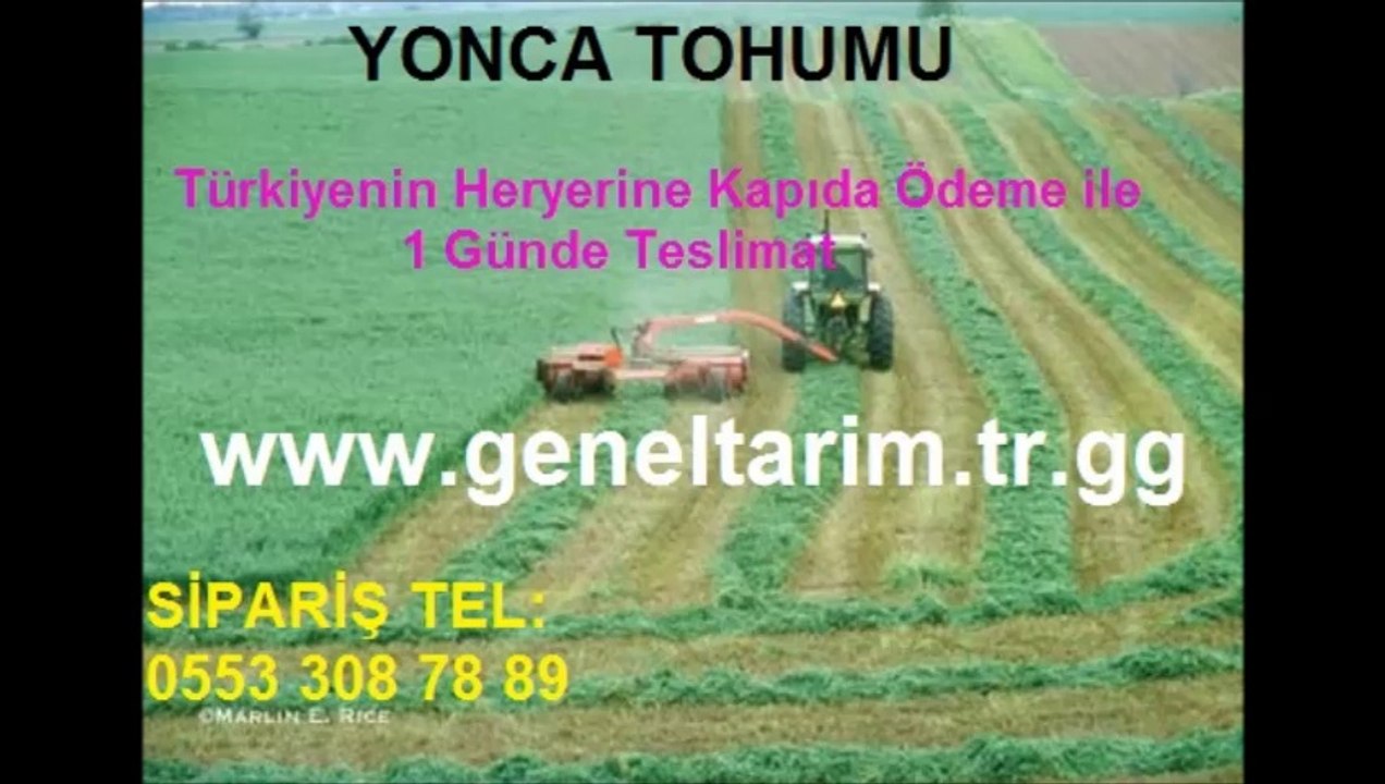 Yonca tohumu,YONCA TOHUMU,yonca tohumu fiyatı,yonca tohumu fiyatları