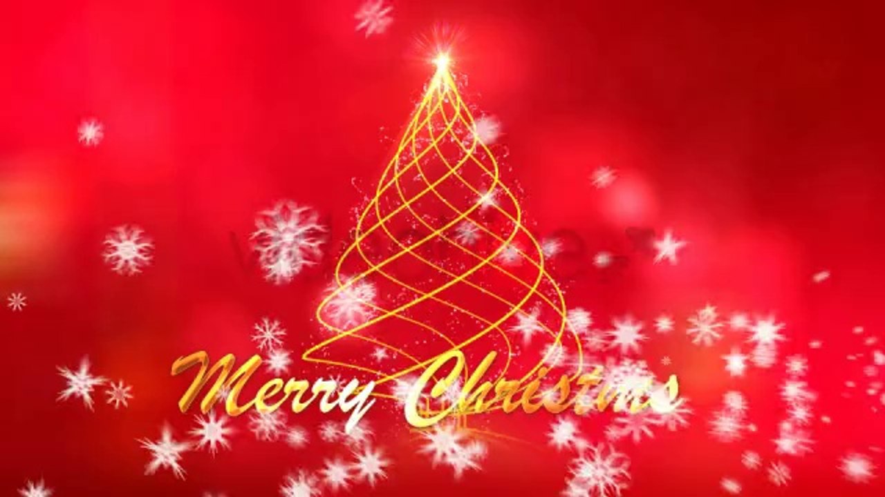 Christmas Tree Shine