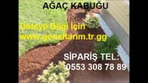 ÇAM KABUĞUDEKORATİF,ÇAM KABUĞUDEKORATİF,AĞAÇ-KABUĞU