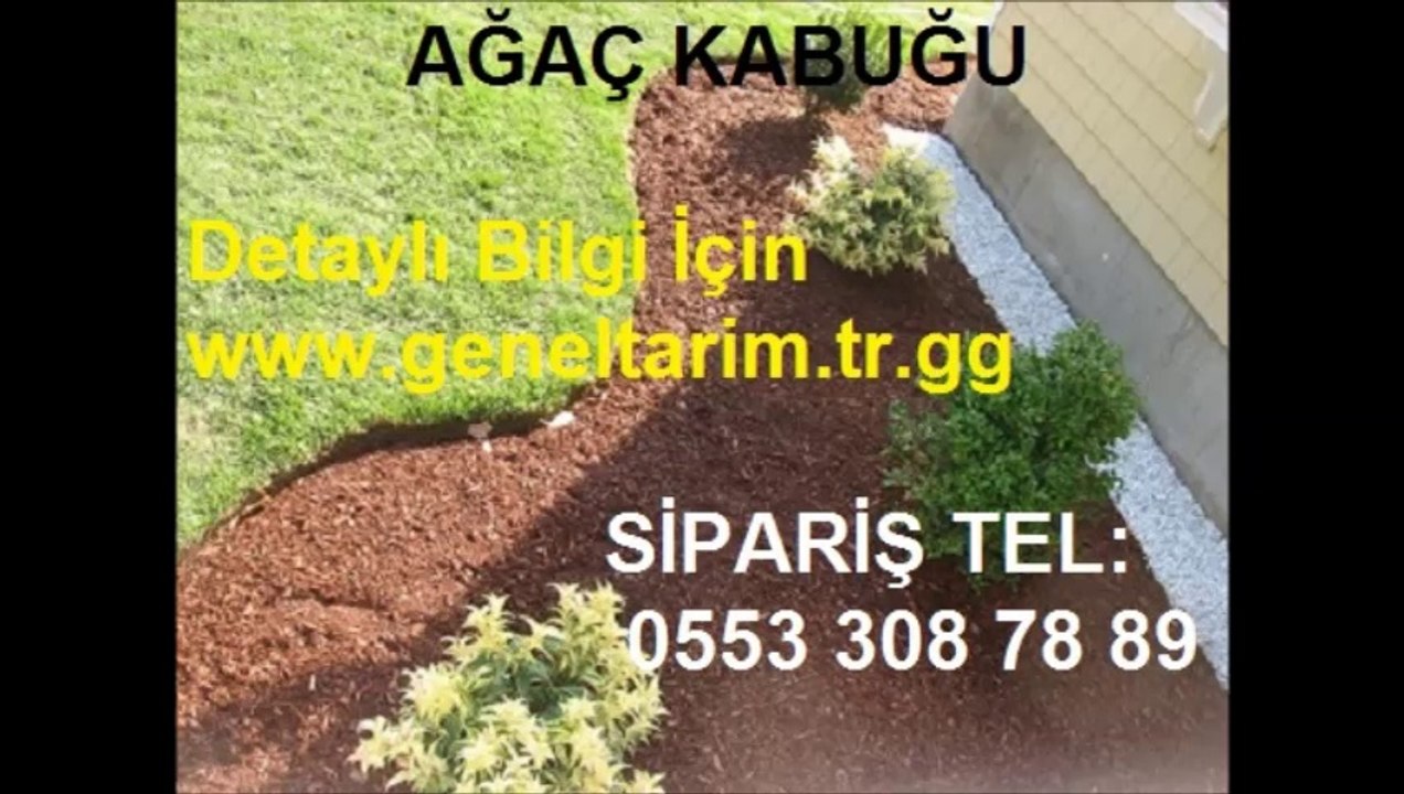 ÇAM KABUĞUDEKORATİF,ÇAM KABUĞUDEKORATİF,AĞAÇ-KABUĞU