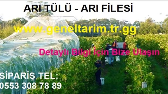 BAĞ FİLESİ,ÜZÜM FİLESİ,üzüm-filesi,üzüm filesi,anti böcek tülü,anti-böcek-tülü,anti_böcek_tülü