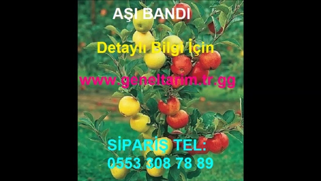 aşı+bandı,Aşı-bandı,aşı-bağı,aşı-bantları,aşı-bağları,aşı-bandı-fiyatı,aşı-bandı-fiyatları,aşı-bağı-fiyatı,aşı-bağı-fiyatları,aşı-bağı-satışı,aşı-bandı-satışı