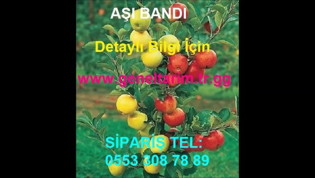 aşı+bandı,Aşı-bandı,aşı-bağı,aşı-bantları,aşı-bağları,aşı-bandı-fiyatı,aşı-bandı-fiyatları,aşı-bağı-fiyatı,aşı-bağı-fiyatları,aşı-bağı-satışı,aşı-bandı-satışı