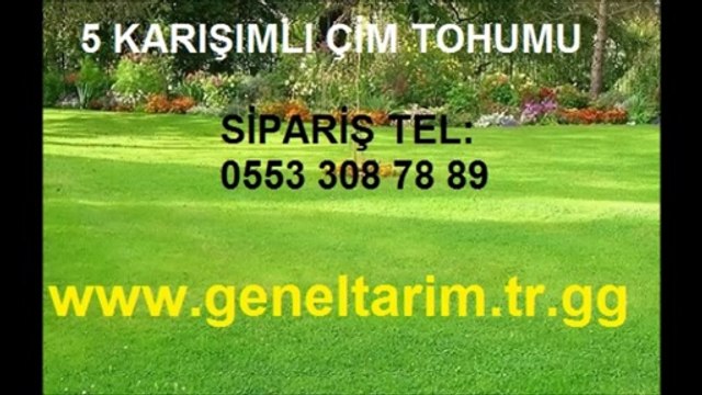 çim-tohumu,çim-tohumu-fiyatı,çim-tohumu-fiyatları,çim-fiyatı,çim-fiyatları,çim-çeşitleri,ÇİM-TOHUMU-FİYATLARI,çim-tohumu-satışı,çim-tohumu-ankara,çim-tohumu-İstanbul