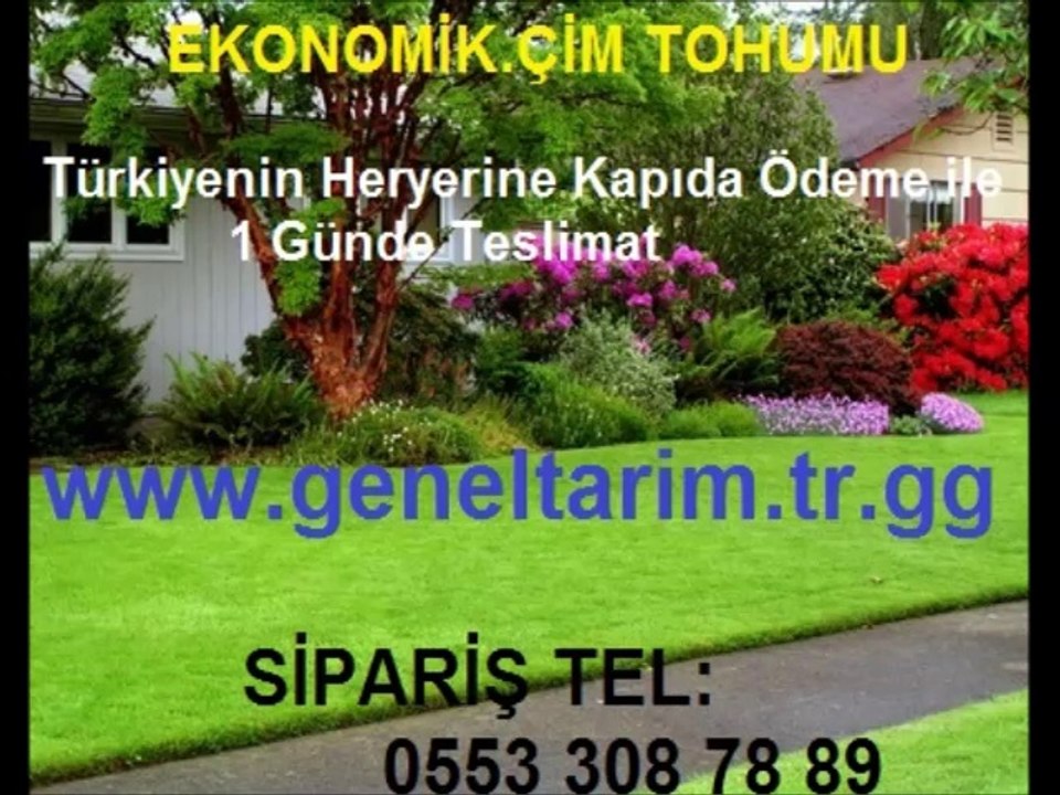 kuraklığa dayanıklı çim tohumu,cim tohumu,CİM TOHUMU,ÇİM TOHUMU
