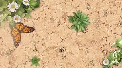 Understanding BTU: What It Means for Your Air Conditioner ❄️