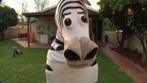 Dope Zebra - Rhett & Link (Official Original Video)