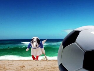 Va Chercher La BaBalle  (Hymne canin au Mondial 2014 au Brésil)