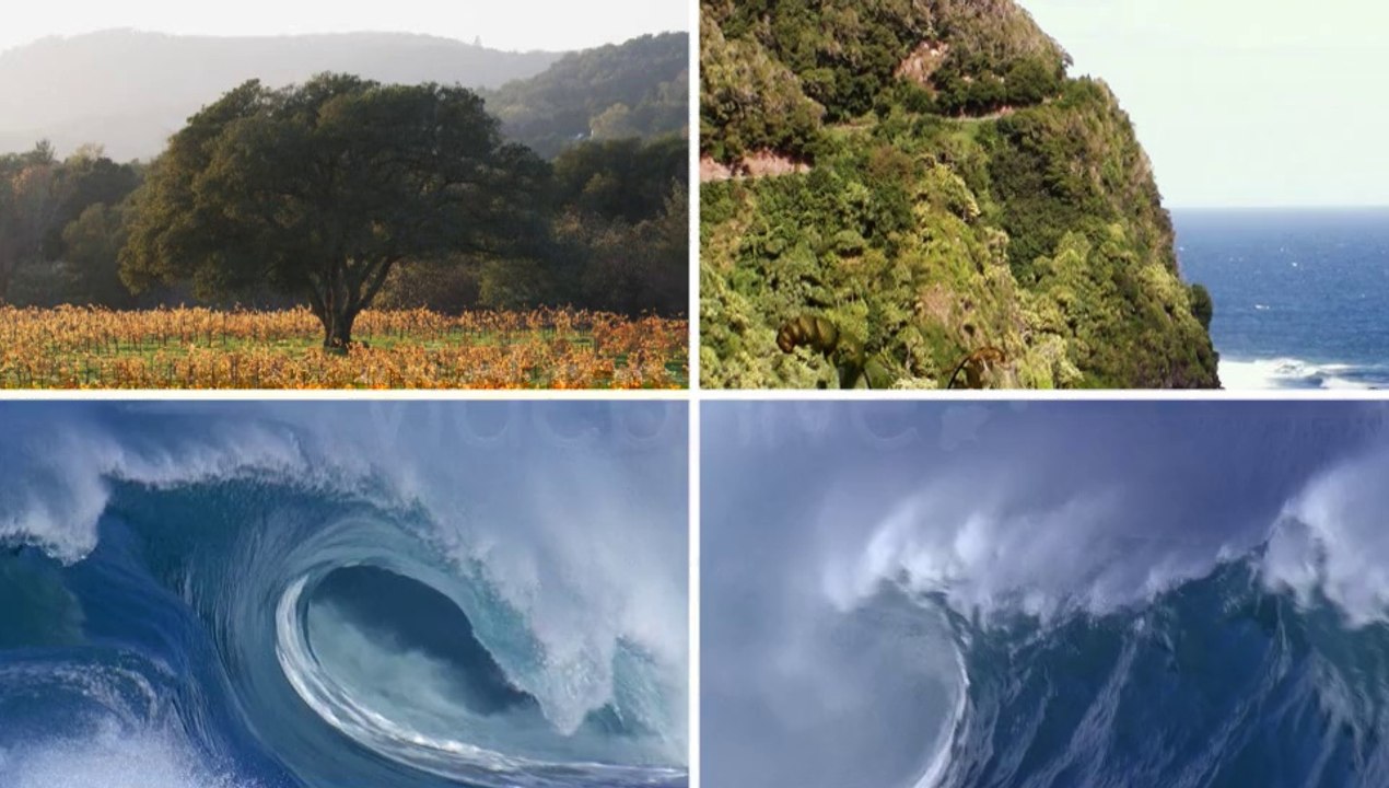 Incredible Nature