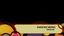 Erol Evgin işte Öyle birşey Karaoke