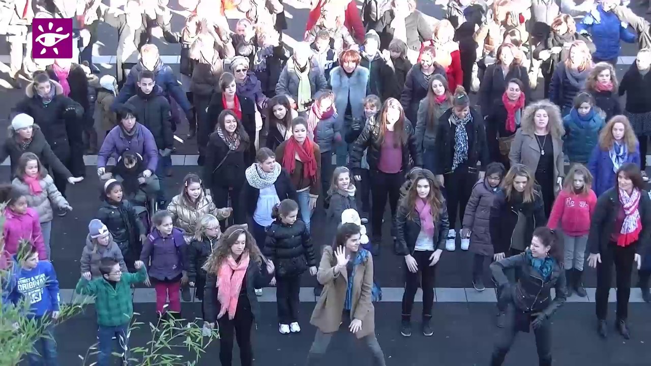 Téléthon 2013 - 33 St Medard en Jalles Flash Mob
