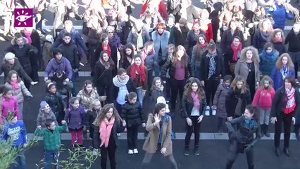 Téléthon 2013 - 33 St Medard en Jalles Flash Mob