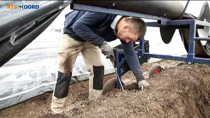 De witte kopjes komen al boven - RTV Noord
