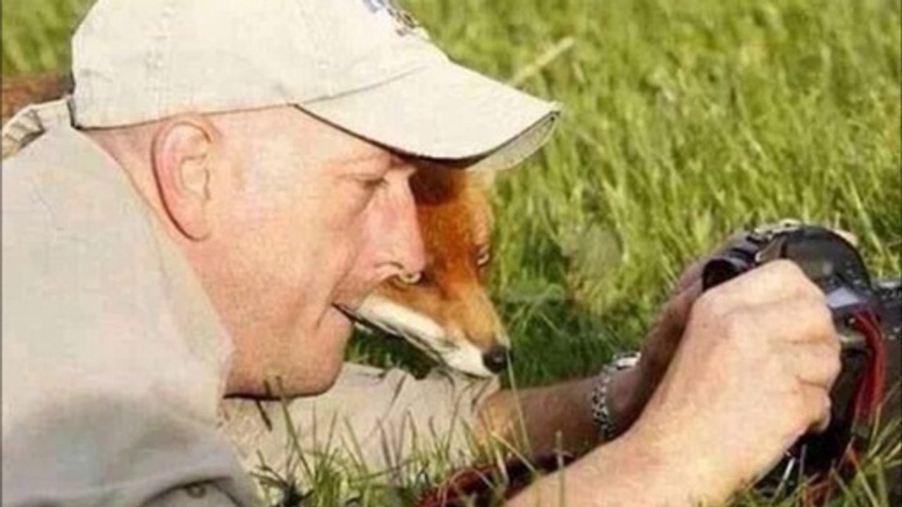 Lavandia Syndrom JP Schluckspecht