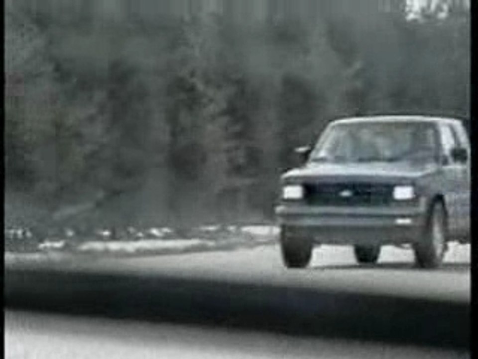 funny animals