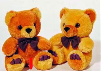 MANTEN TUS PELUCHES LIMPIOS