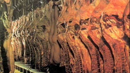 Edgar Broughton Band @Aphrodite